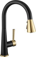 Kitchen Faucet with Pull Down Sprayer, Lava Odoro Matte Black and Brushed Gold Kitchen Sink Faucet, Black and Brass Faucet for Kitchen Sink with Magnetic Docking Spray Head and Deck Plate, KF321-GB