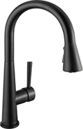Matte Black Kitchen Faucet with Pull Down Sprayer, Lava Odoro Single Handle Kitchen Sink Faucet, Black Single Hole Kitchen Faucet with Magnetic Docking Spray Head and Deck Plate, KF321-MB