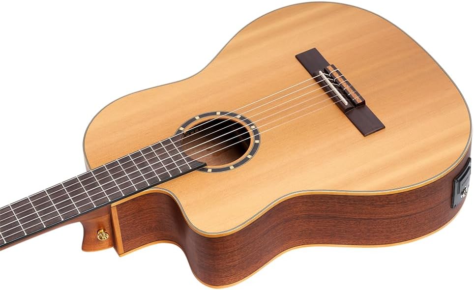 Family Series Pro Solid Top Acoustic-Electric Nylon Classical Guitar w/Bag
