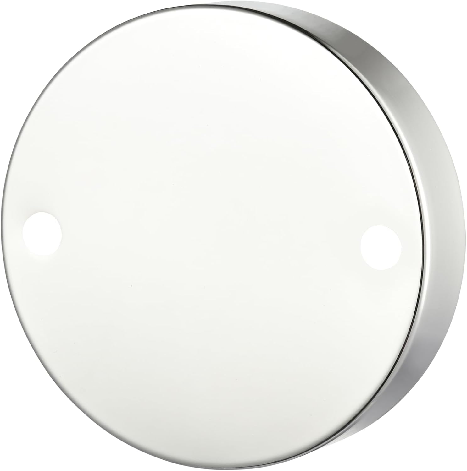 ML Lighting 21002-PN Camellia 13.5' Wide 2-Light Vanity - Polished Nickel