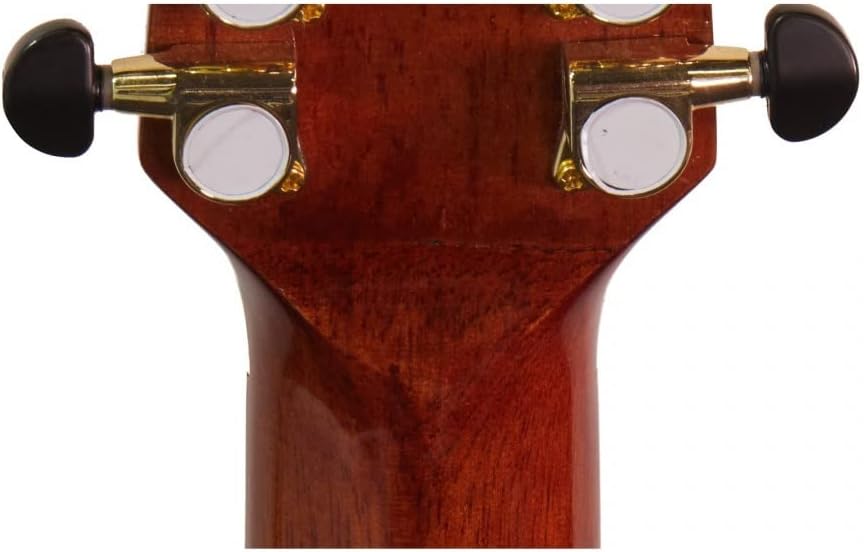 Luna Vista Eagle 12-String Cutaway Acoustic Electric Guitar with Case
