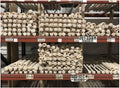 34' Wooden Blem Baseball Bats (Sold in Bundles of 9)