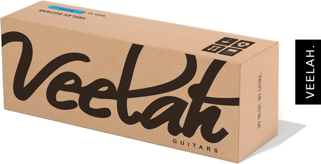 V1-D Acoustic Guitar Solid Top Dreadnaught Acoustic Guitar Mahogany Back and Sides with Gig Bag