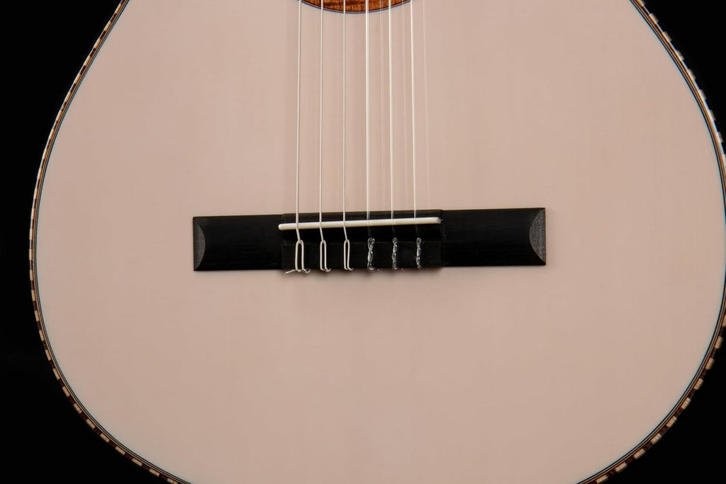 Cort Solencanto Premium Classical Guitar with Case