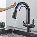 Smart Sensor Pure Water Kitchen Faucet 2 Model Spout Taps Deck Mount Daul Handle Filtered Cold Hot Water Mixer(Black)