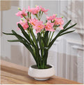 Artificial Flower Artificial Narcissus Flower Art Three-Dimensional Display Flower Set Porch Living Room Indoor Dining Table TV Cabinet Decoration Floor Vases Decorative Tall (Color : Purple) (Pink)