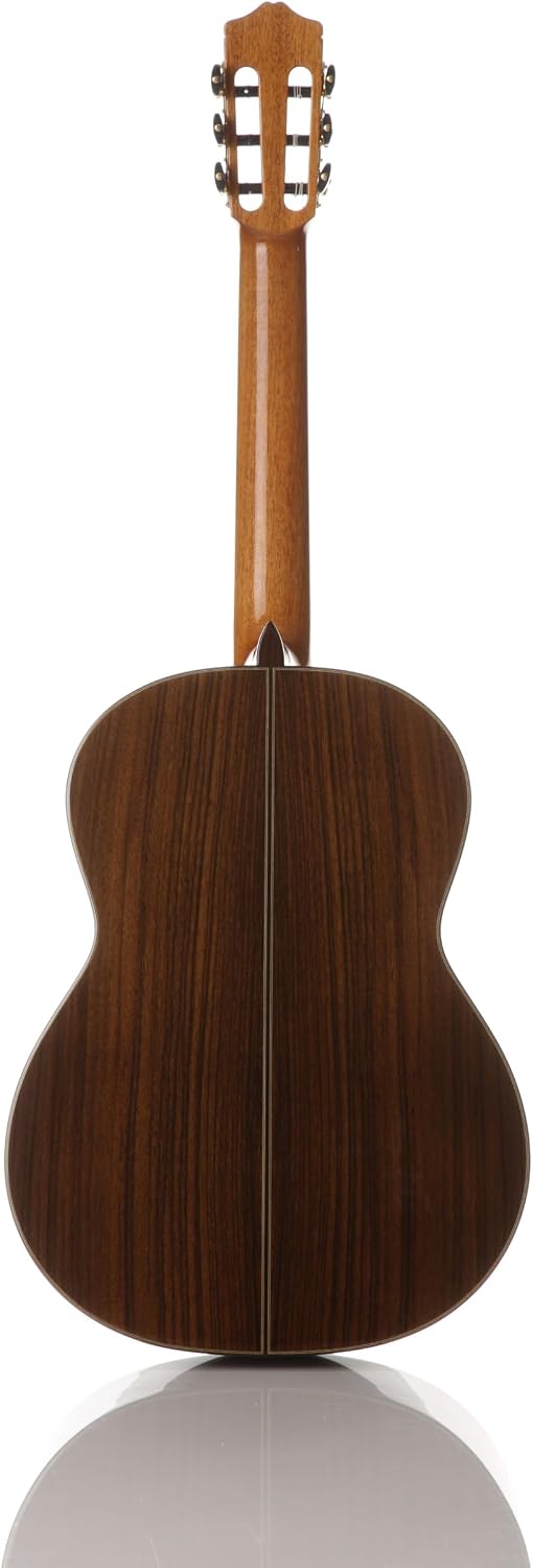 Cordoba Classical with Solid Cedar Top and Solid Rosewood Back