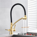 Filter Purification Flexible Rotated Kitchen Faucet Dual Spout Dual Handles Mixer Tap Hot and Cold Pure Water Mixer(Chrome Polish A)