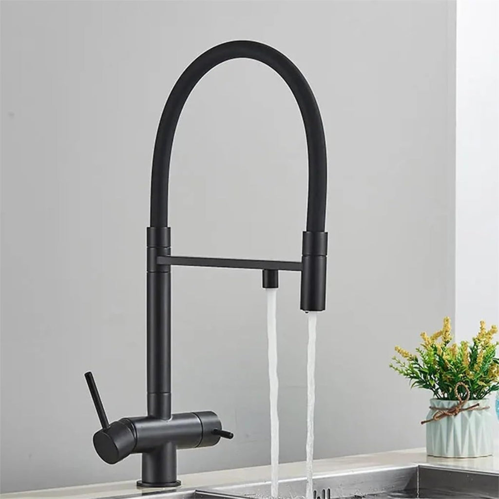 Kitchen Purified Faucets Dual Handle Cold Hot Water Mixer Crane Tap Filter Water Modern Tap(Black)