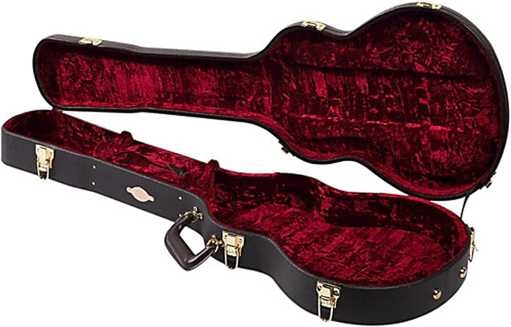 Taylor T5z Case