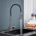 Filtered Kitchen Faucet Dual Handle Hot & Cold Drinking Water Purified Kitchen Mixer Taps(Brushed Gold)