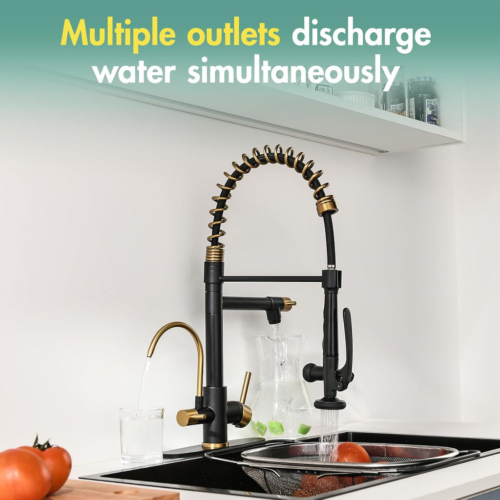 Fapully Commercial Kitchen Faucet with Pull Down Sprayer and Water Filter, Matte Black&Brushed Gold 3 in 1 Kitchen Faucets with Drinking Water Faucet for Kitchen Sink