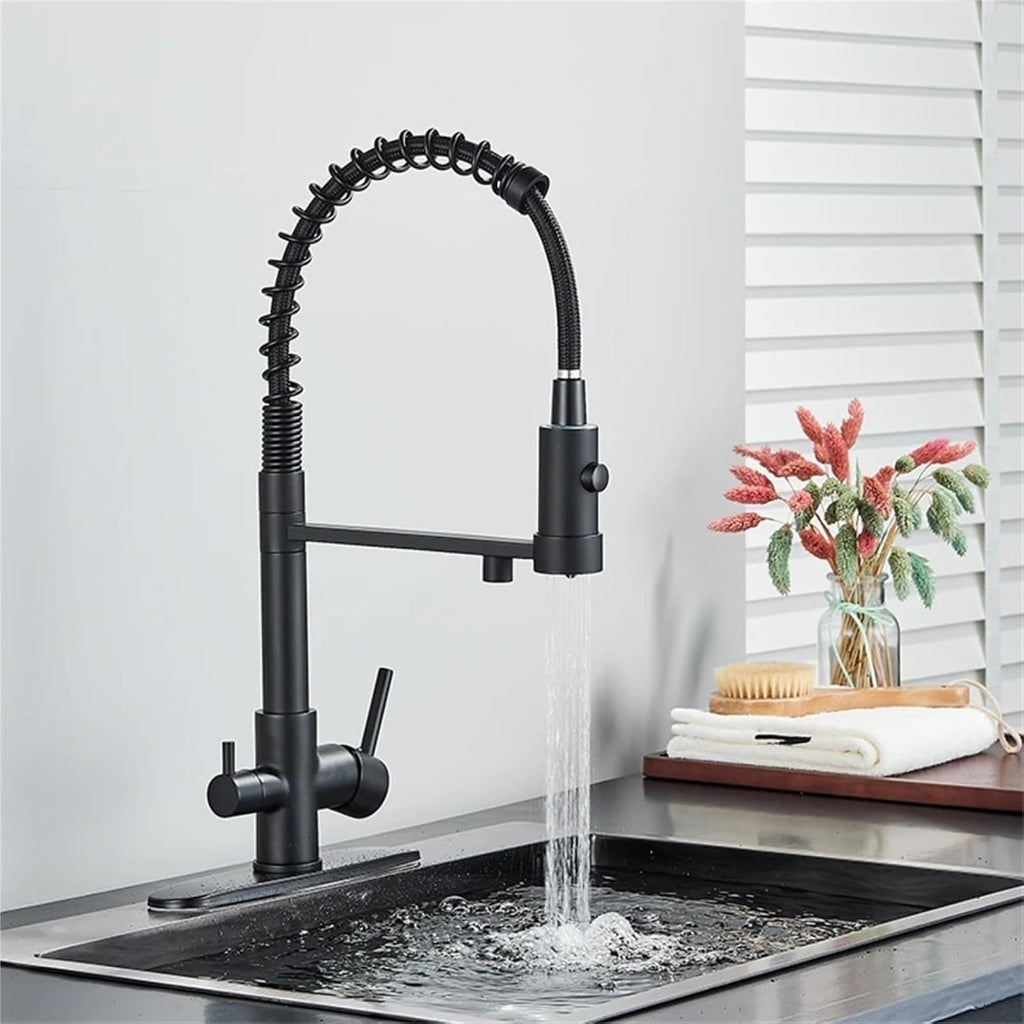 Filtered Kitchen Faucet Dual Handle Hot & Cold Drinking Water Purified Kitchen Mixer Taps(Black)