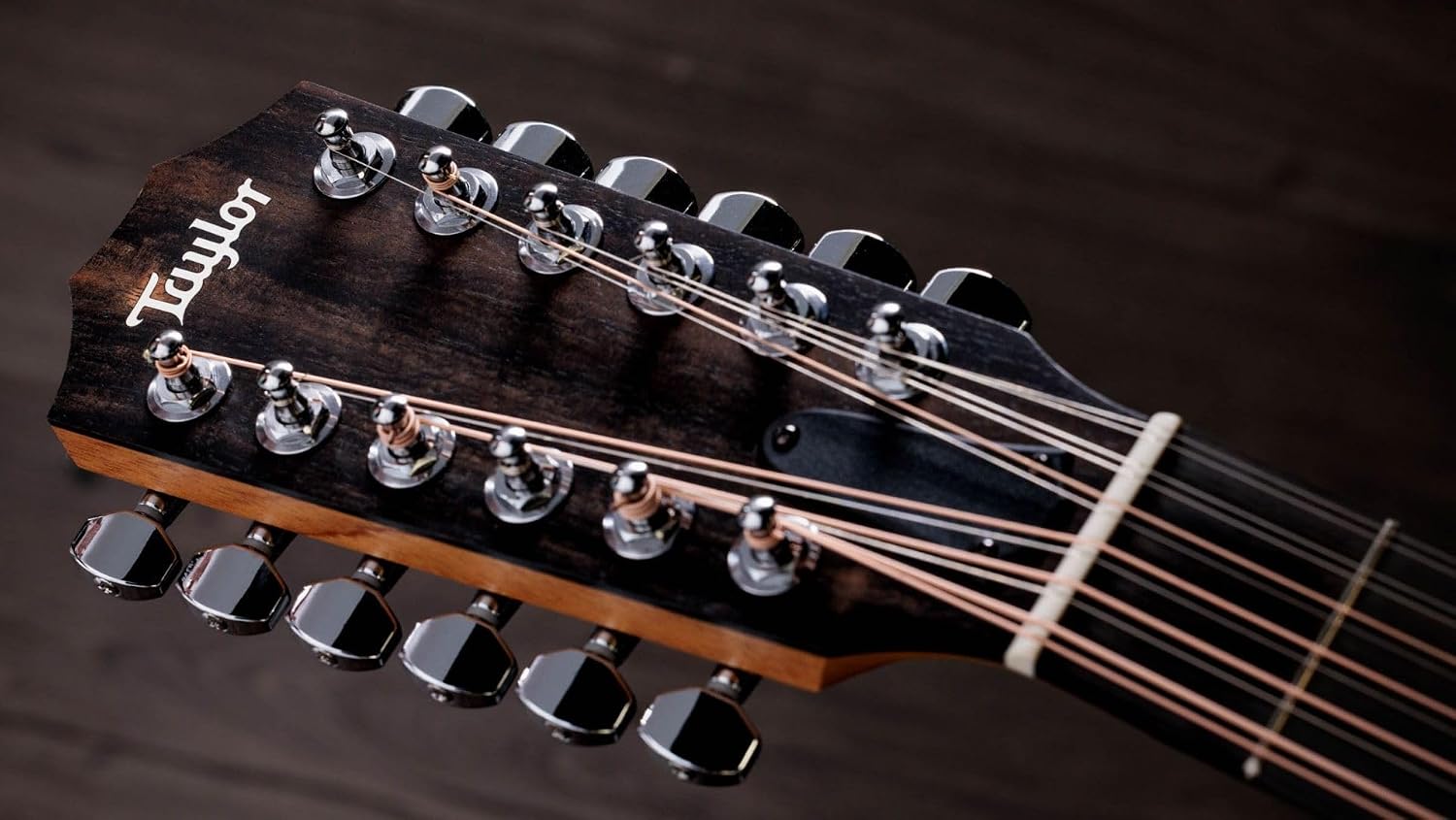 Taylor 254ce Plus 12-string Acoustic-electric Guitar