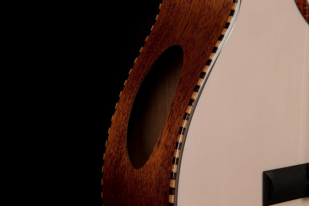 Cort Solencanto Premium Classical Guitar with Case