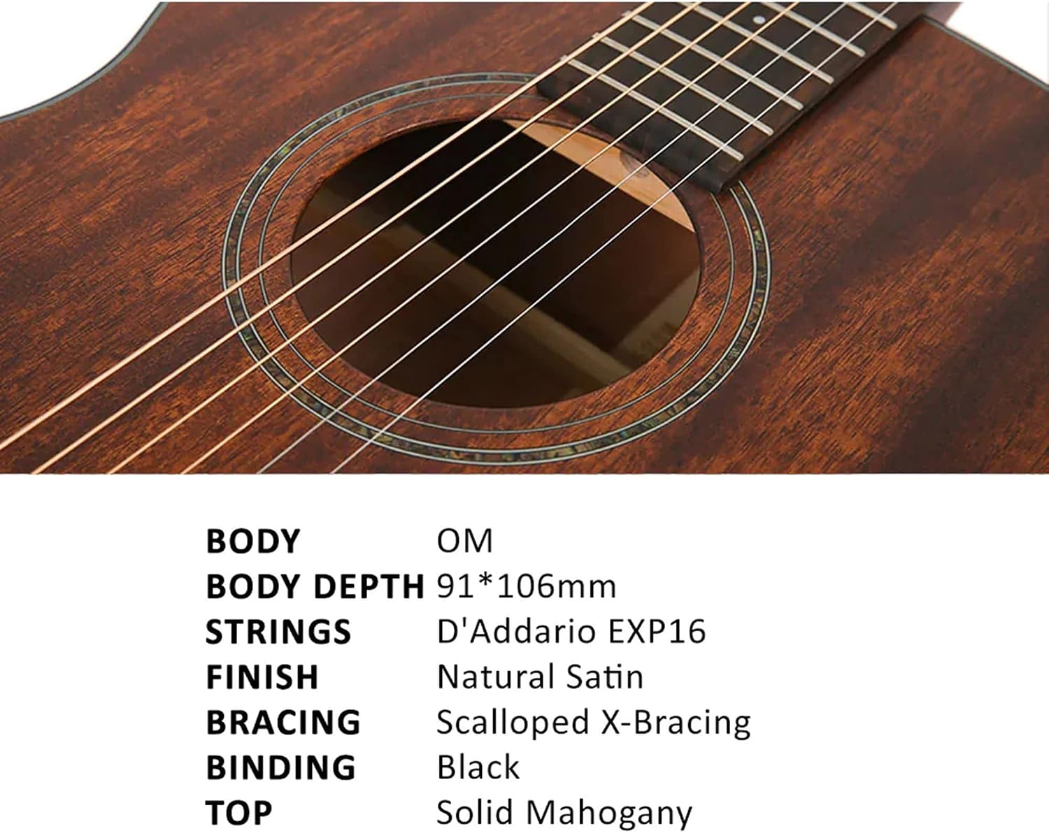 Parkwood S22M OM Body Acoustic Guitar - Mahogany