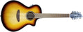 Breedlove Discovery S Concert Edgeburst 12 String CE European-African mahogany Acoustic Guitar