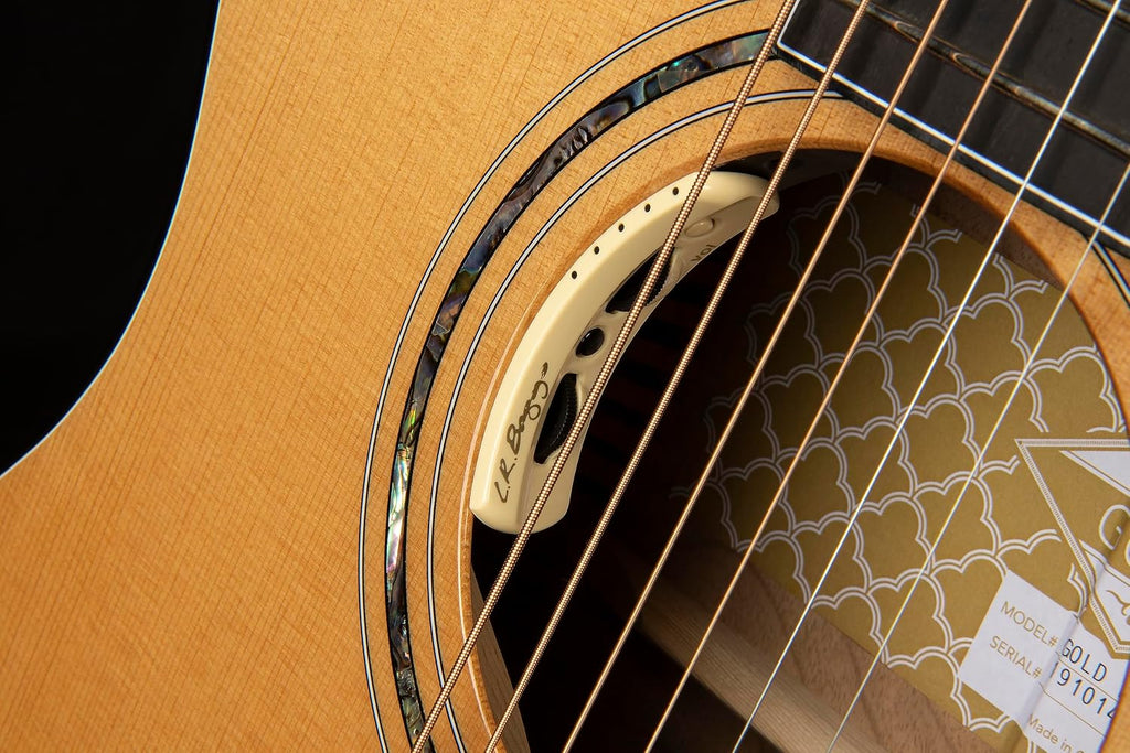 Cort Gold Series Gold Edge Acoustic-Electric Guitar, Natural Glossy