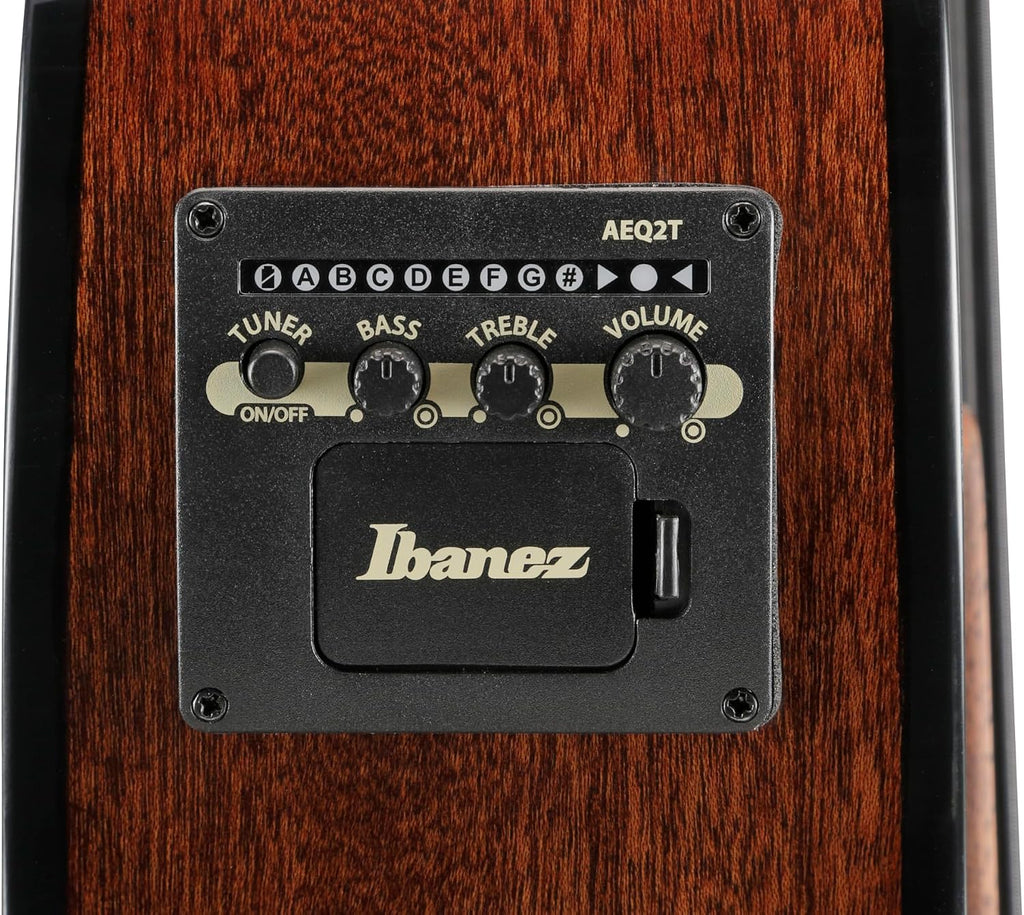 Ibanez AEGB25E Acoustic-electric Bass Guitar - Transparent Black Burst High Gloss