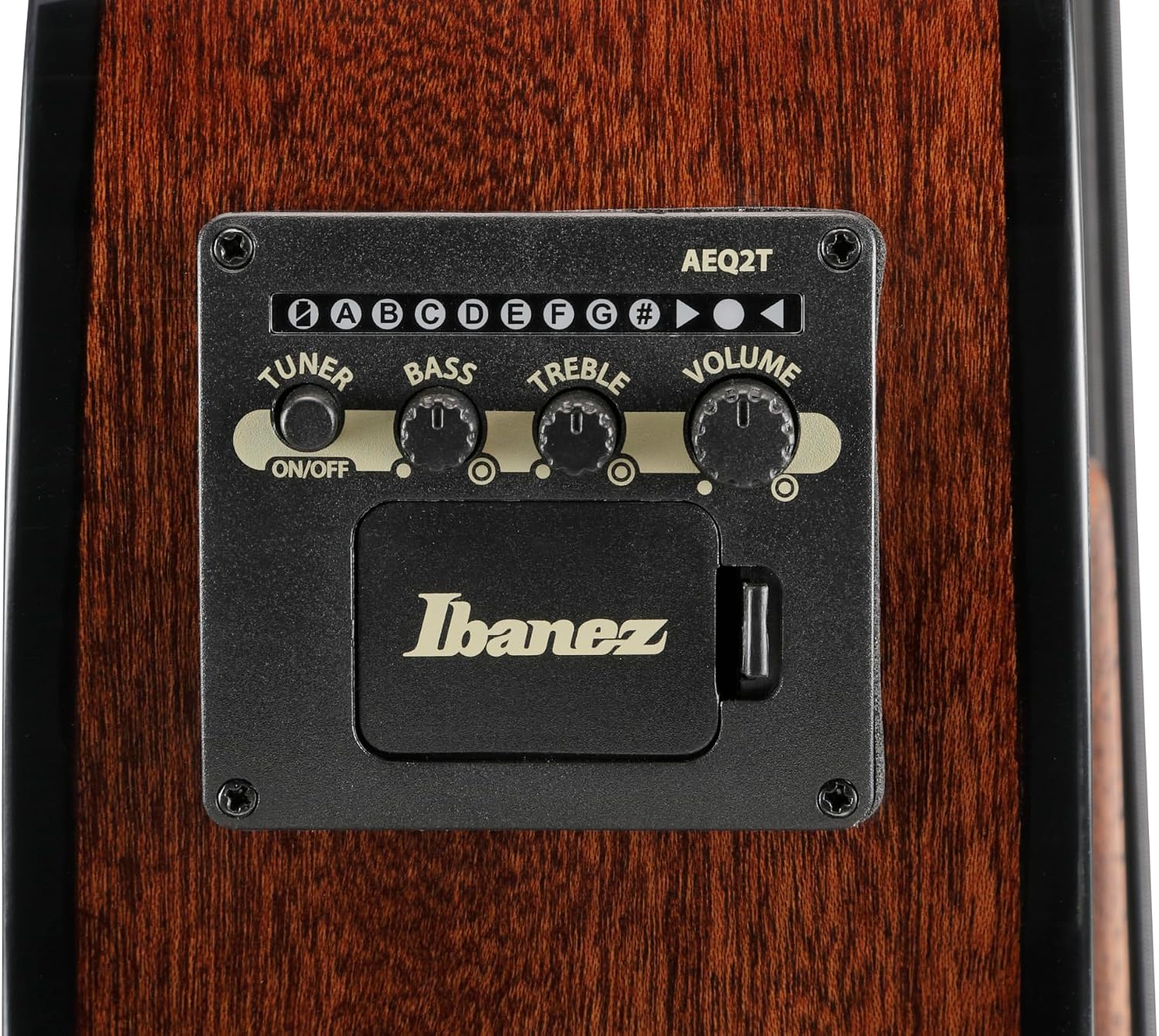 Ibanez AEGB25E Acoustic-electric Bass Guitar - Transparent Black Burst High Gloss