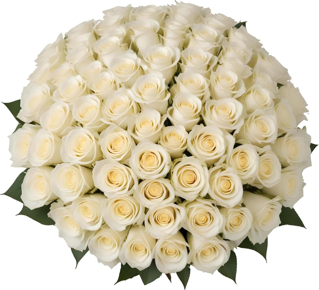 100 White Roses | Bulk Roses by Arabella Bouquets | Real Fresh Flowers for Delivery, Gift for Birthday Women, Congratulations, Anniversary, Thank You, Mother's Day