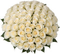100 White Roses | Bulk Roses by Arabella Bouquets | Real Fresh Flowers for Delivery, Gift for Birthday Women, Congratulations, Anniversary, Thank You, Mother's Day